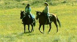 Horse ride through the valley