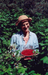 summer harvest