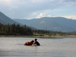 Water Scene